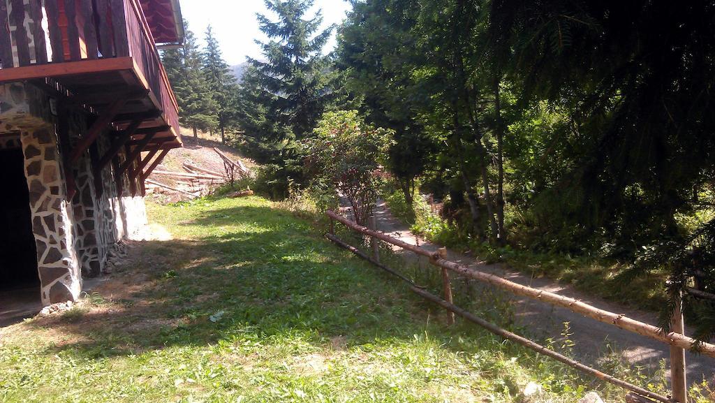 Chata Alia Vyšná Boca Exterior foto